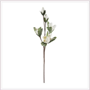 MAGNOLIA bimbóság fehér