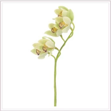 ORCHIDEA DYAN zöld 