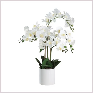 HYUGA orchidea cserépben 65 cm 