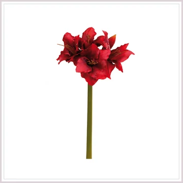 AMARYLLIS művirág