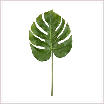 PHILODENDRON levél dekoráció