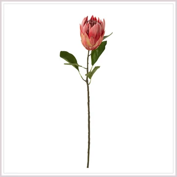 PROTEA piros