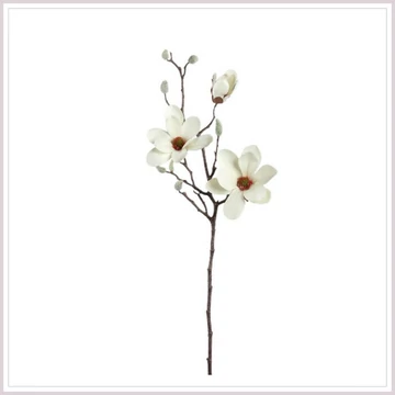 MAGNOLIA ág fehér