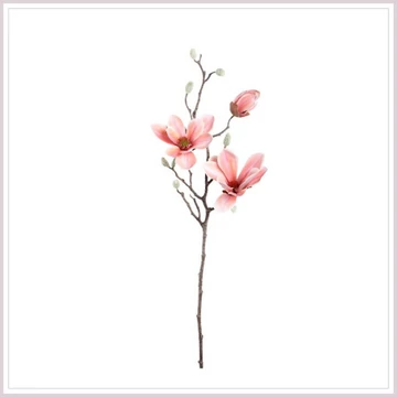 MAGNOLIA ág pink 