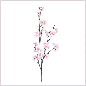 BLOSSOM purple