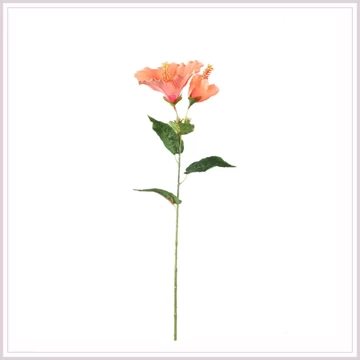 HIBISCUS light pink 