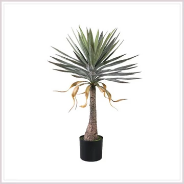 YUCCA FA műnövény