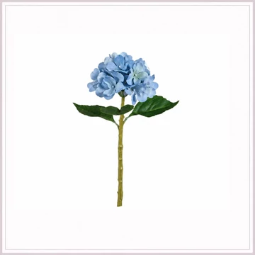 HORTENZIA blue