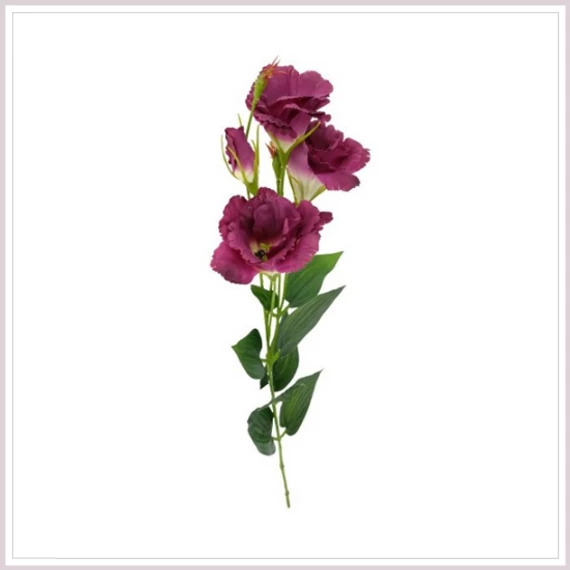 LISIANTHUS lila