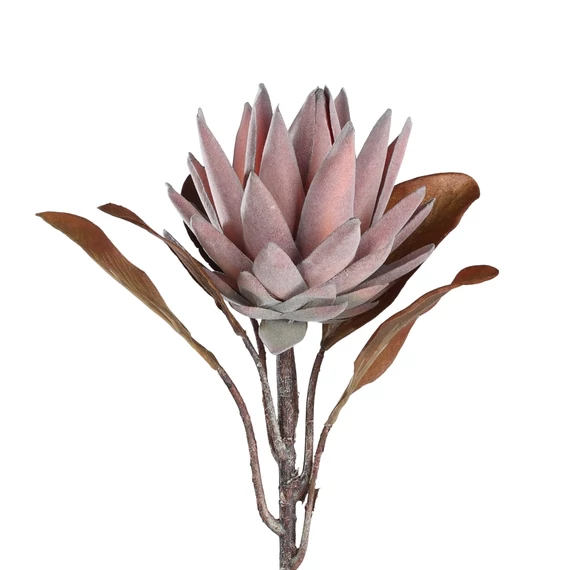 KIRÁLY PROTEA mályva