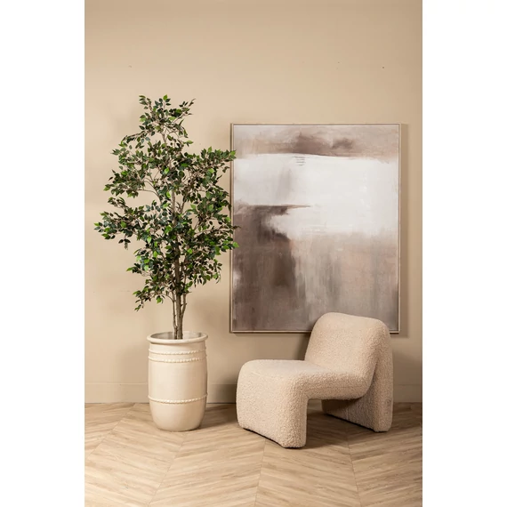 FICUS fa műnövény