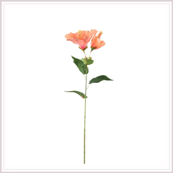 HIBISCUS light pink 
