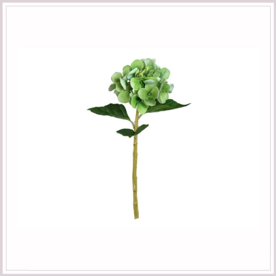HORTENZIA green