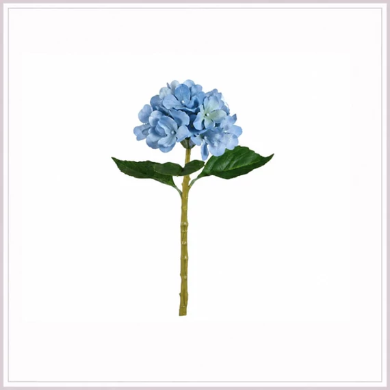 HORTENZIA blue