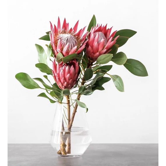 PROTEA piros