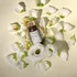 Kép 2/2 - MY SPIRIT Body essence